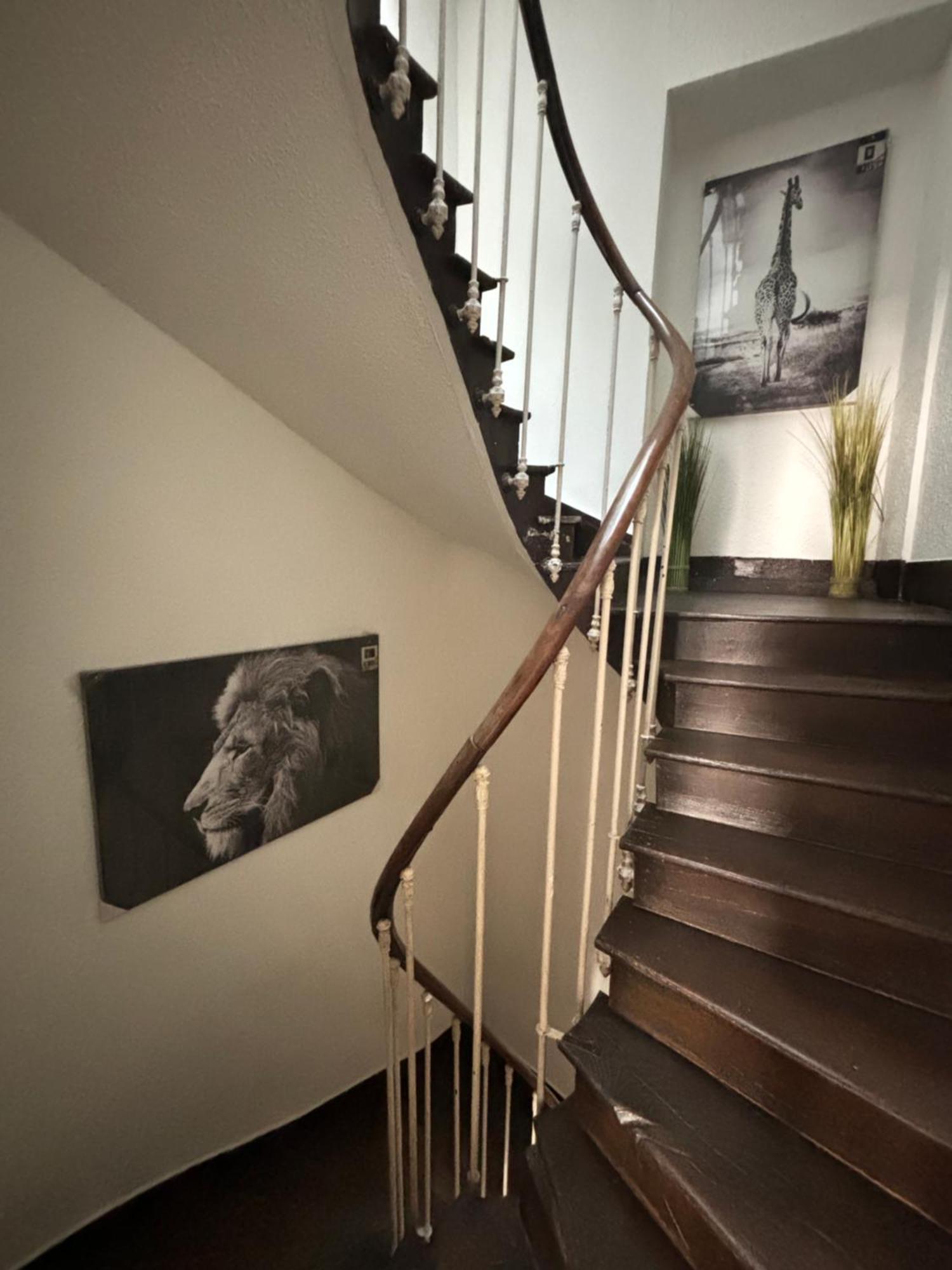Appartement Le Duplex Safari à Saint-Aignan  Extérieur photo