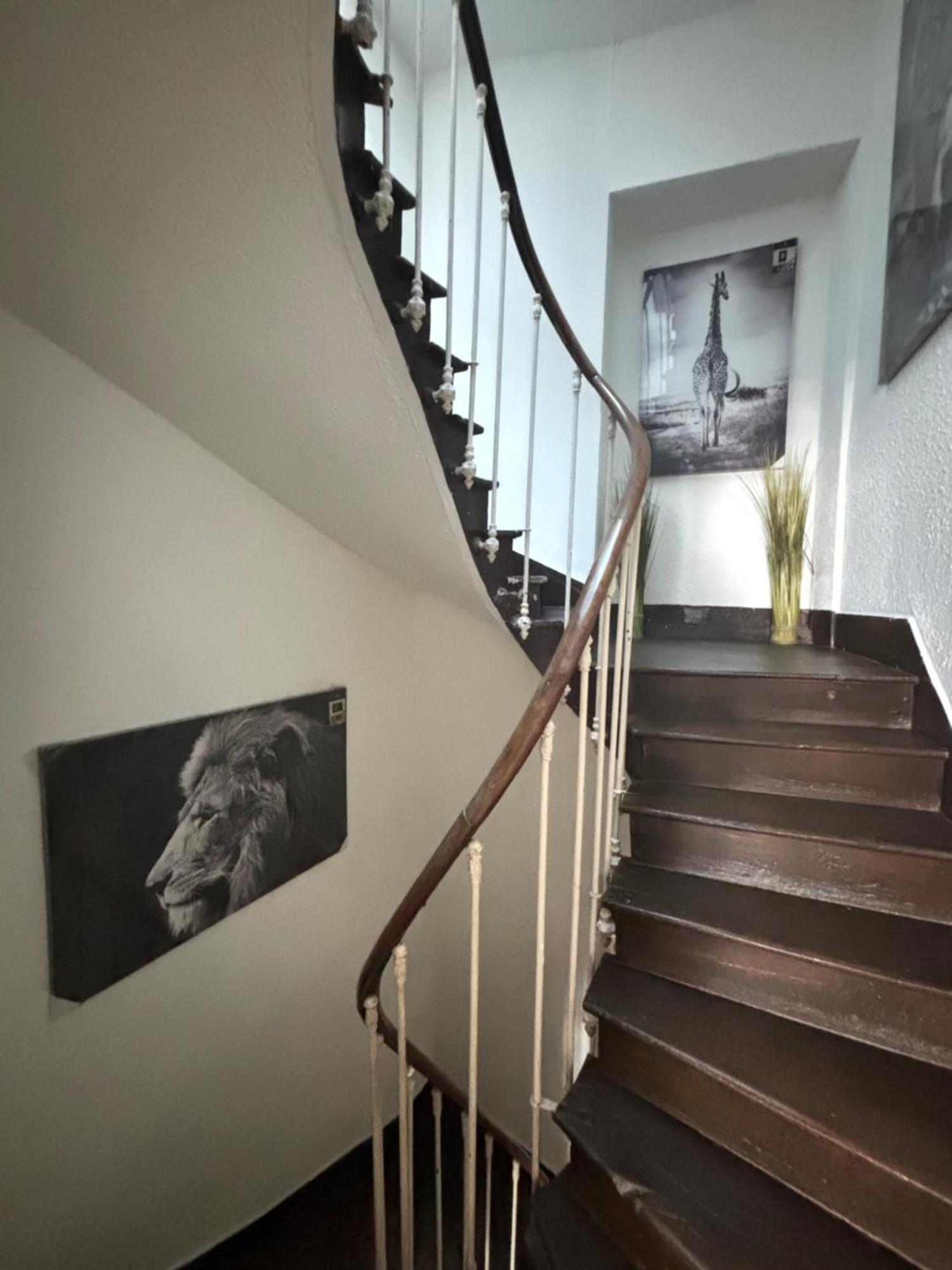 Appartement Le Duplex Safari à Saint-Aignan  Extérieur photo